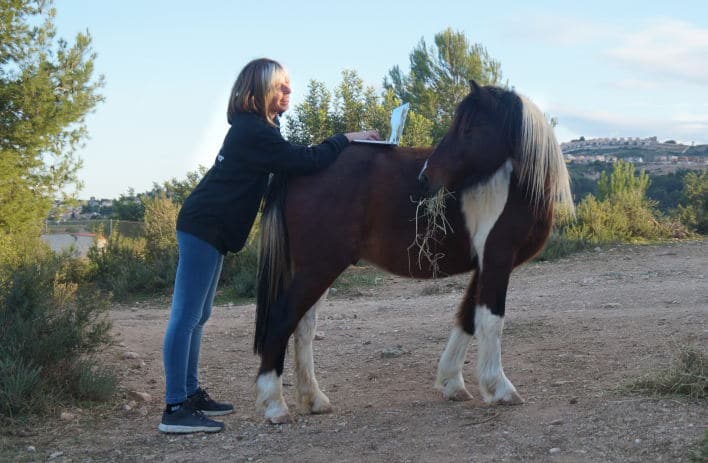 Blog de Rursus Equus