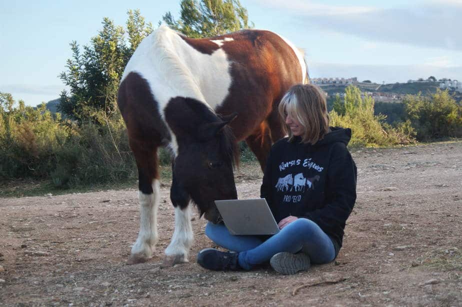 Clases teórico-prácticas adaptadas a cada caballo y a cada persona.