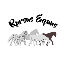 Rursus Equus el proyecto