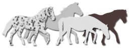 Rursus Equus